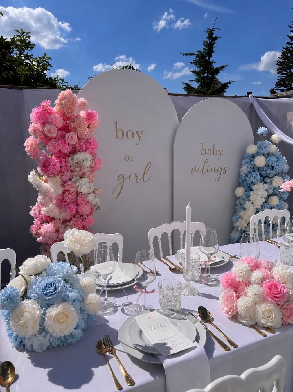 Gender Reveal